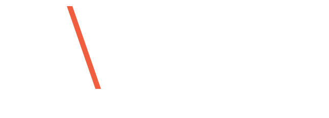 IDverse Logo